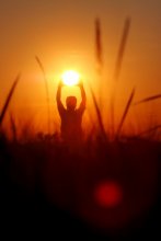 In The Eye Of The Sun / ***