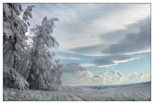 Mosaic Winter / ***