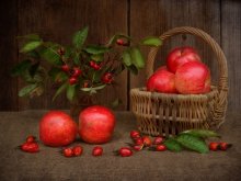Apple-shipovnikovy Stillleben / ***