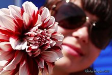 Blumen / ***