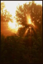 Gott des Lichts ... / ***