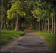 Spaziergang im Park ... / _________