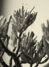 Chruschtschow / ***