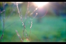 Sonnenuntergang / ***