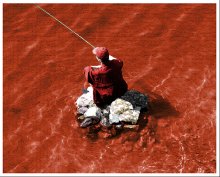 Red Fisher / ***