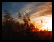 Brennen in den Flammen auf den Sonnenuntergang ... / ***