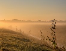 Autumn Dawn / ................