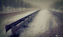 Winter / .......