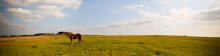 Panoramka .. / ***