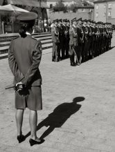 Evolution der Dominanz / ........