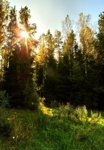 Herbst / *****
