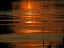 Sonnenuntergang / -----