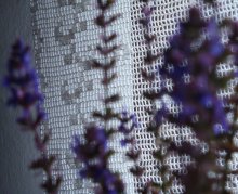 Geburt des Ornaments / ***