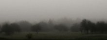 Nebligen Herbst / *******************