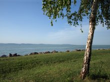 Und der See wächst Birke ... / ***