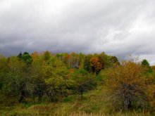 Landschaft / ***