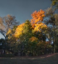Loschitsa Park / ***