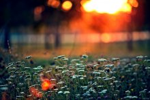 ** Im vergangenen Herbst / ***