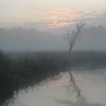 Nebel, Oktober Sprites ... / ***