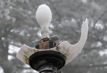 Frozen Licht / ***