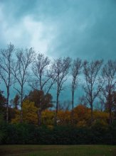 Herbst / ********