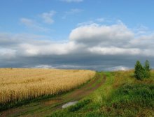 Nach dem Regen / . . . .