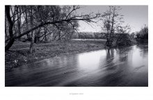 * * Niprochto / ***