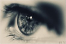 Auge / ***