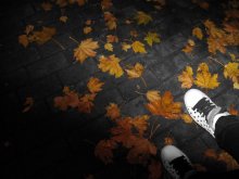 Herbstlaub raschelt ... / ***