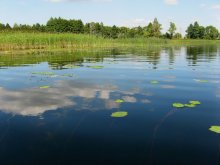 Ich bin Wasser, ich Wasser! " / = = = = = = =
