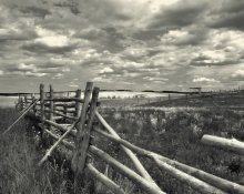Landschaft ohne Pferde / ***