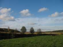 Herbst / .......