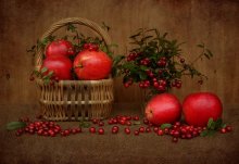 Cranberry Still Life / ***