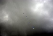Hier ist es, svobda / ***