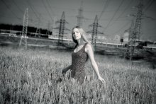Scheibe Sommer 3 / ***