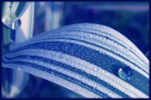 Droplet und ihre Kinder ... :) / .......