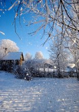 Winter / ***
