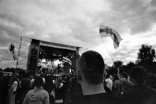 be free fest / ***