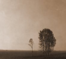 Ghosts / ..................