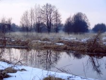 Der Frühling kommt .. / .....