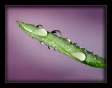 Lecken .. / ***