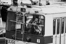 Wagen, die östlich verläuft / ***