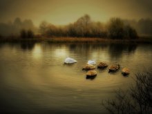 Stunde des Gebets / --------------