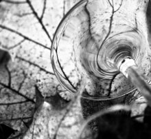 Herbst Illusions / ***