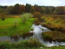 Green ... / *****