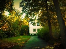 Herbst. Anfang. / ***