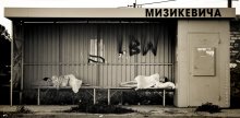 Über Schwarz-Weiß-Traum Mizikevicha / ***