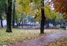 Herbststimmung / ***