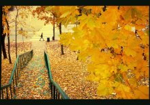 City-Herbst / ***