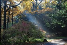 Herbst / ***